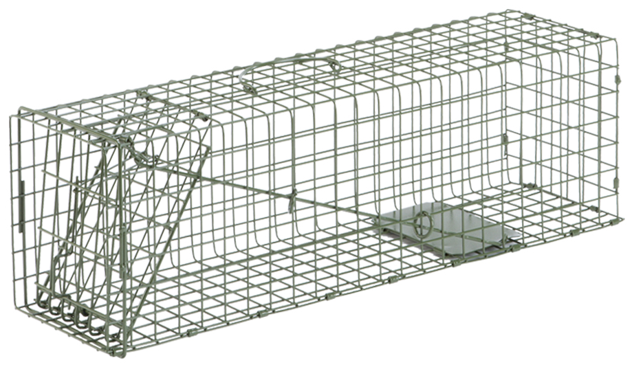 Duke Cage Animal Traps for Live Animal Capture - Jeffers