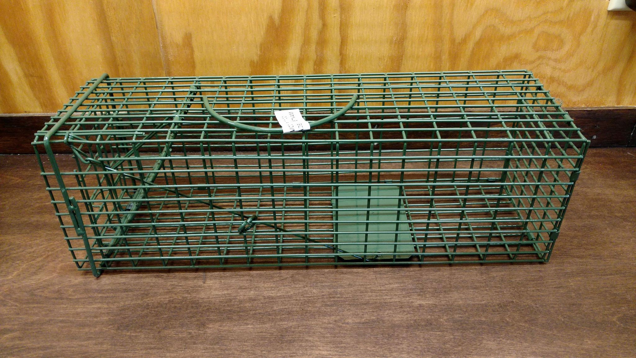 Duke Traps from Wildlife Control Supplies
