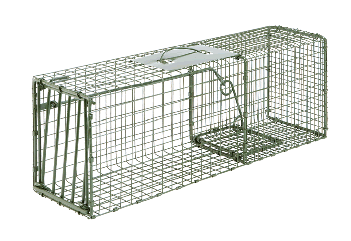 DUKE STANDARD SINGLE DOOR CAGE TRAP 1100