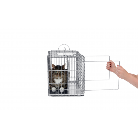 Cat deals crush cage