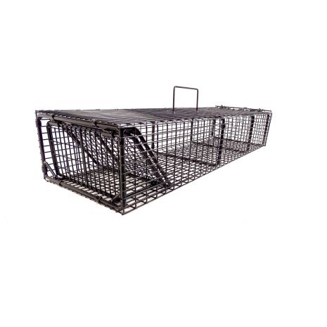 The Cottom's Gottem Multi-Catch Raccoon Trap | Animal Traps & Supplies