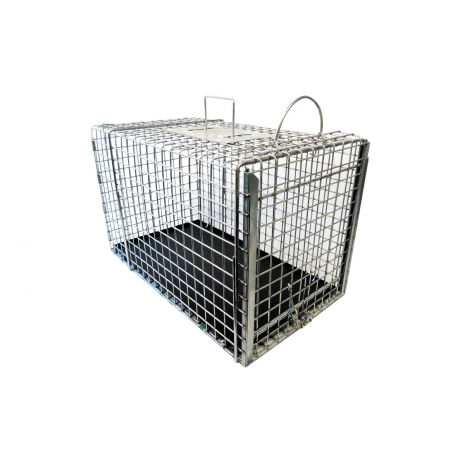 Cat hotsell transfer cage